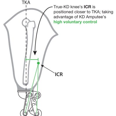 KD-ICR-green-graphic