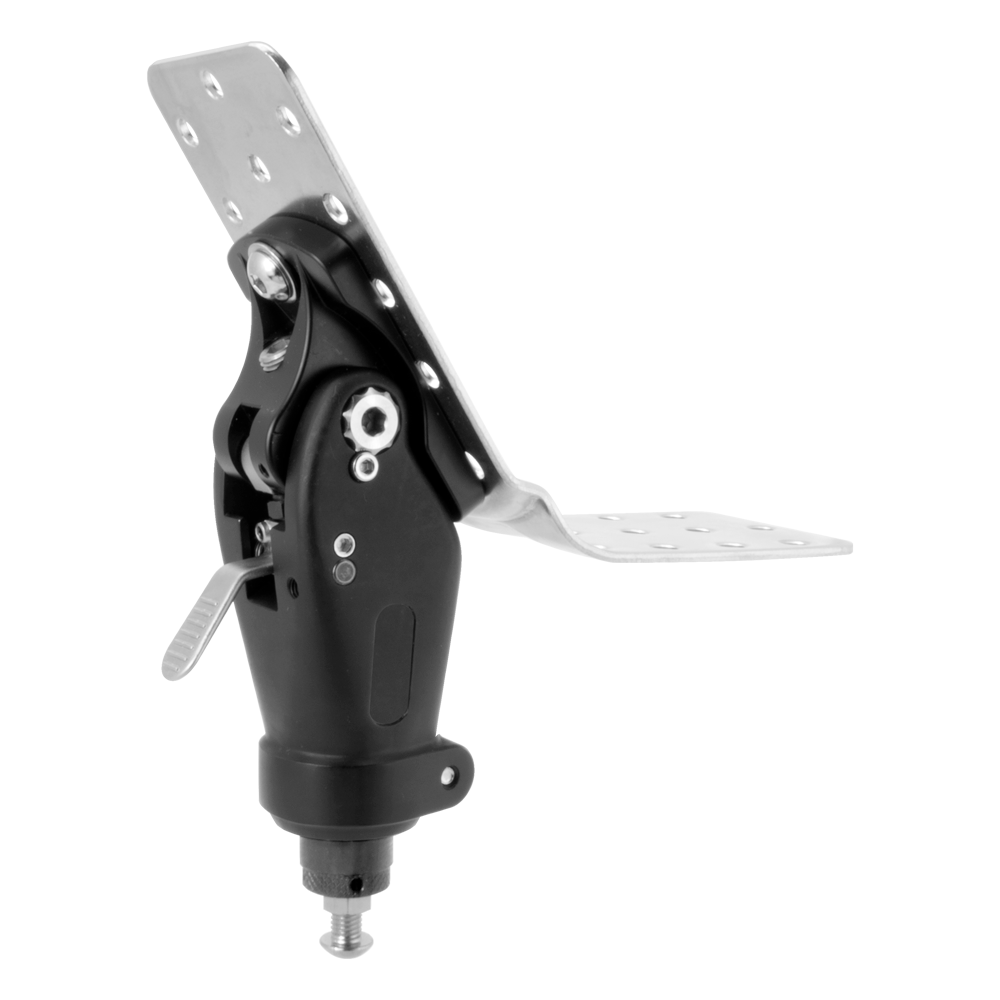 The "Original" Hip™